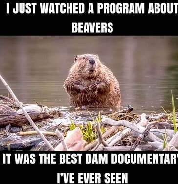 FB_IMG_1727723311733