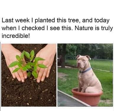 FB_IMG_1717258575424