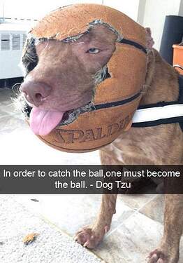 FB_IMG_1718643323937