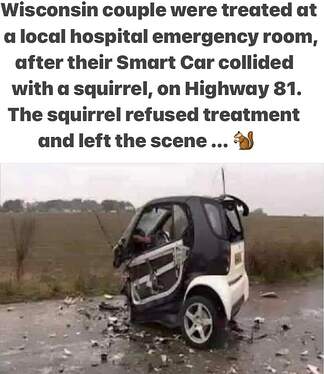 FB_IMG_1726617687795