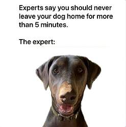 FB_IMG_1718942294150