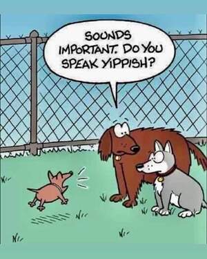 FB_IMG_1716932945400