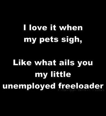 FB_IMG_1726463121206