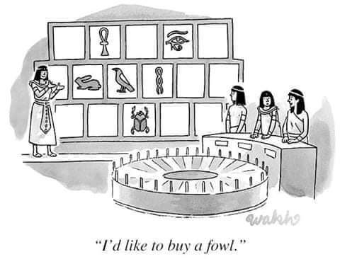 FB_IMG_1716329963162