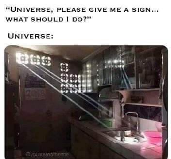 FB_IMG_1717020225163