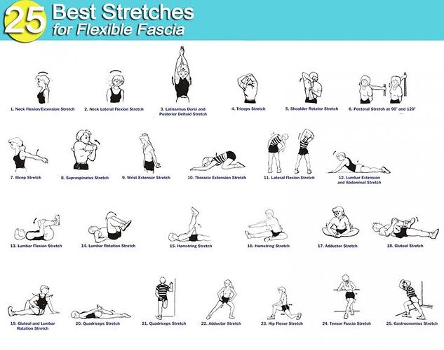 25 best stretches for flexible fascia