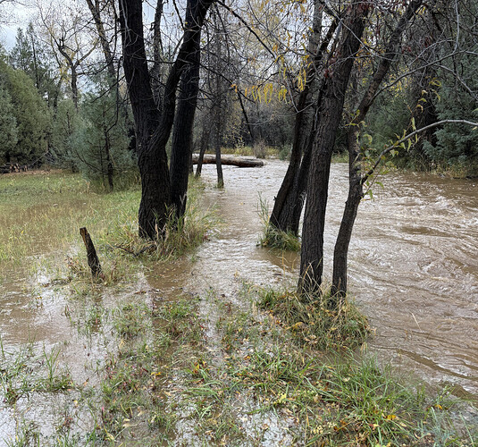 Oct 14, 2025 am, down by the recharged river