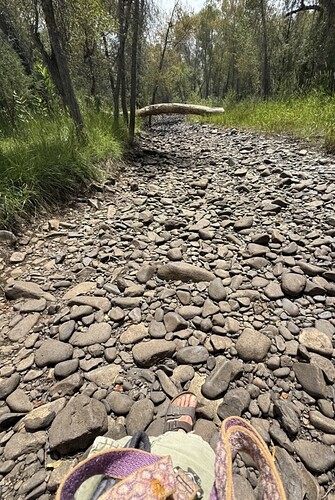 IMG_down by the dry river, July 19, 2025