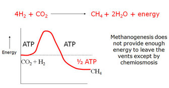 A line graph shows energy usage and production during methanogenesis. A chemical equation showing the production of methane (CH4), water (H2O), and energy from hydrogen (H2) and carbon dioxide (CO2) is shown above the graph. The graph is bell shaped and shows that, in the reaction, one ATP molecule is required to produce 1½ ATP molecules.