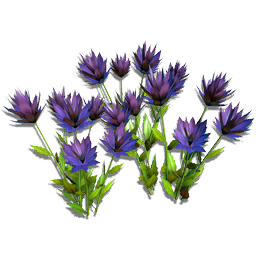 SPECIAL1.FLOWER01