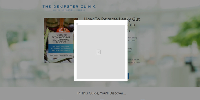 https___thedempsterclinic.com_autoimmune-disease.html# - Google Chrome 8_19_2020 8_19_38 AM (2)