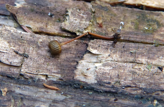 P1230224