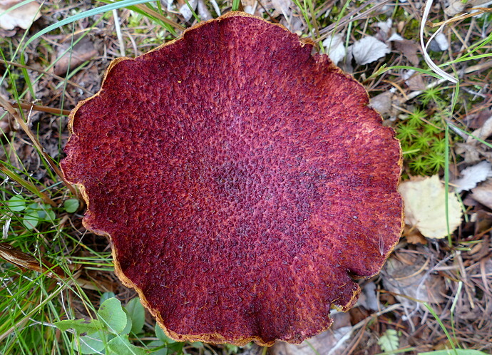 11-1-P1070999