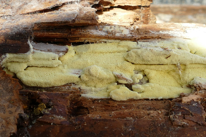 P1860884