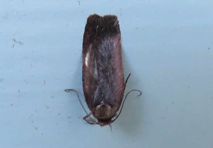 a067_20191026_joutsa_3