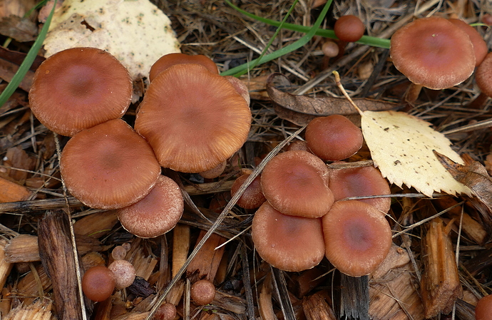 P1420961