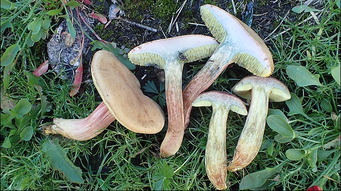 P9190056c