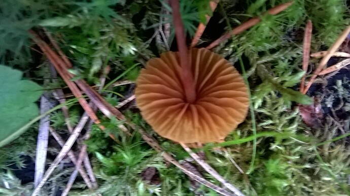 WP_20170811_013