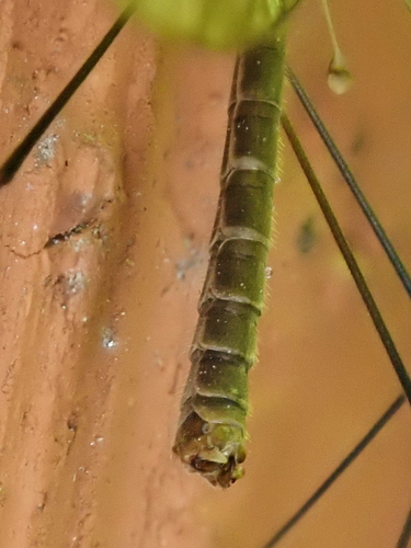P9193364