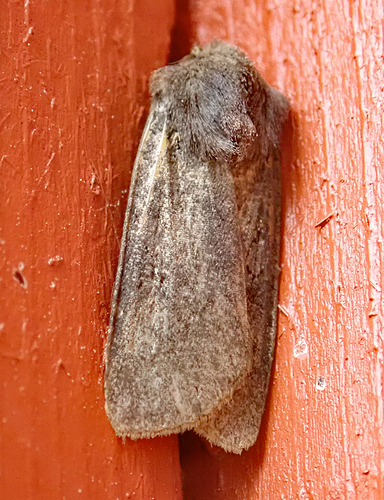 P8149994