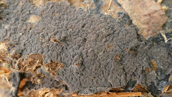 1-P1050799