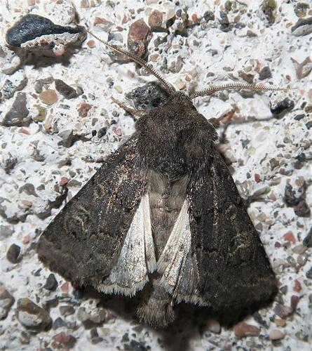 IMG_0436%20(2)%20(Medium)