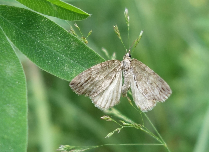 mittari_16072018_toinen_kuva