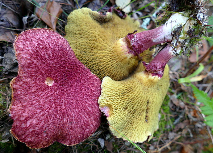 1-P1070834
