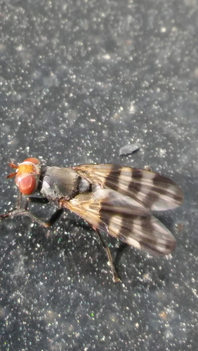 20180521_084627