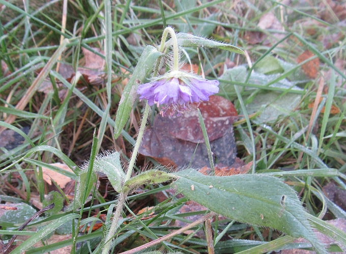 IMG_6509aaaaaaaaaaaaaaaaa