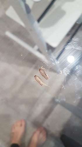IMG-20190117-WA0001