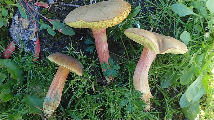 P9190043c
