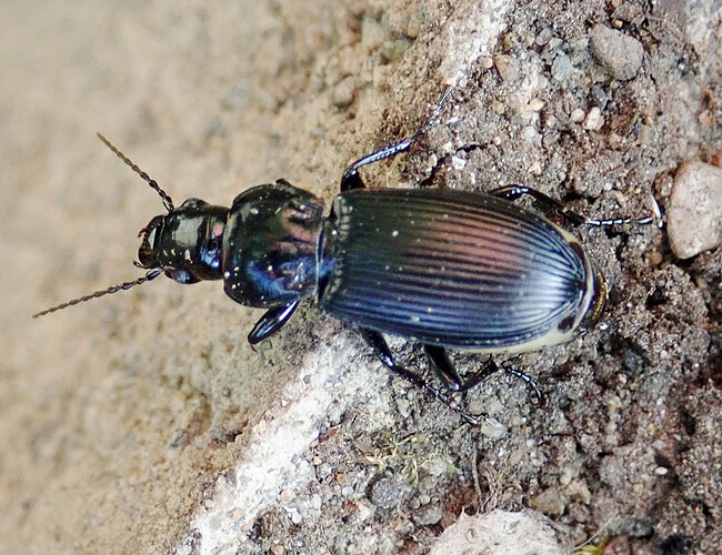 P5160770
