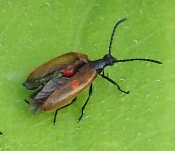 P8030025_2