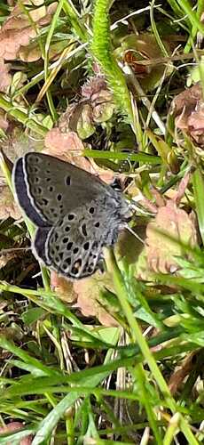 IMG-20250705-WA0005