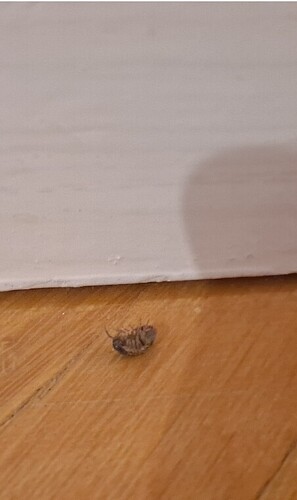 SmartSelect_20251108_130657_Gallery