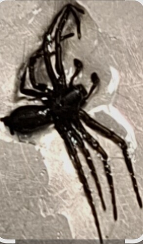 Screenshot_20250919_133800_Google