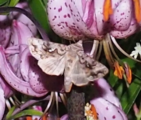 P7180227_2