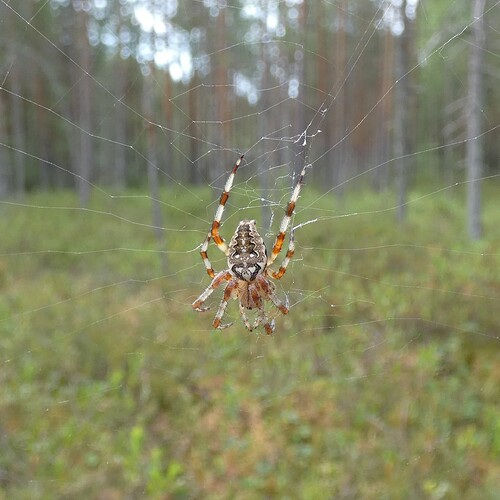 1130816_edit_284728649023050