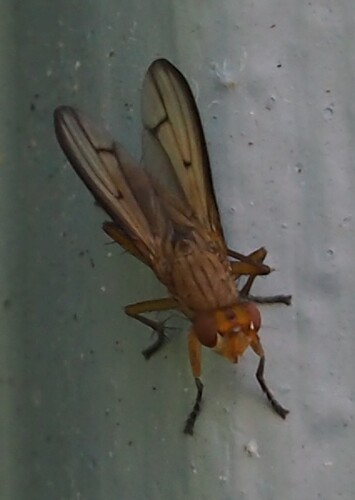 P7050047_2
