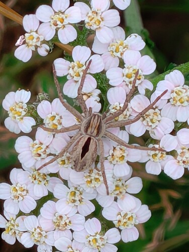 PXL_20250730_150825337