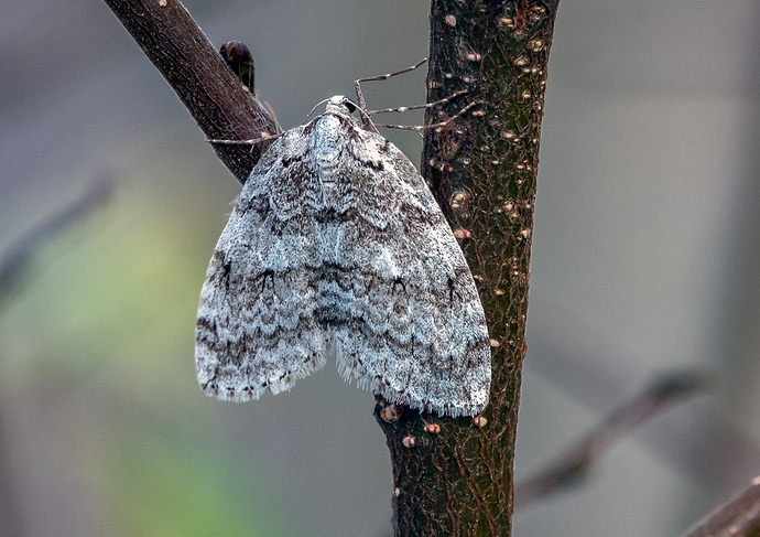 _DSC8060-E_web