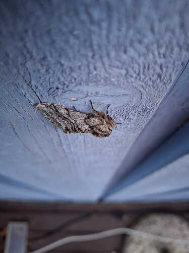 IMG-20250413-WA0011