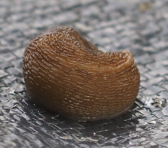 P7060007_2
