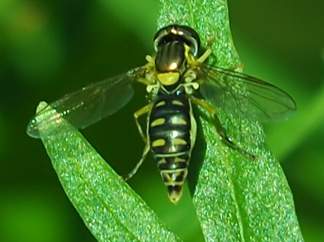 P7010006_2