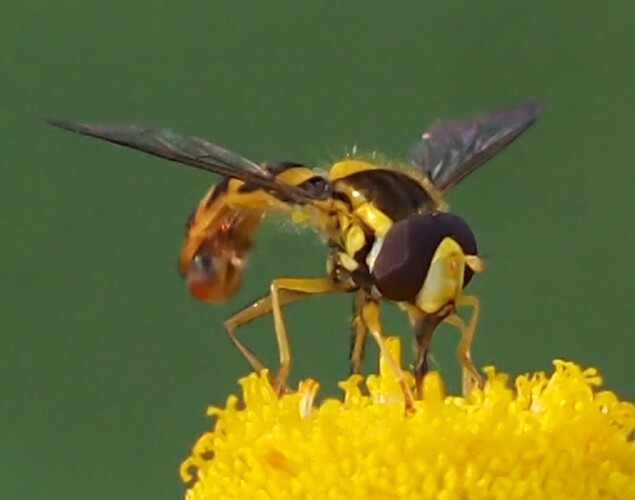 P8030026_2