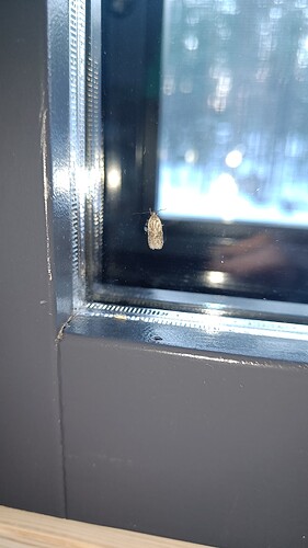 IMG20240327180301