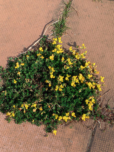 PXL_20250728_144620683