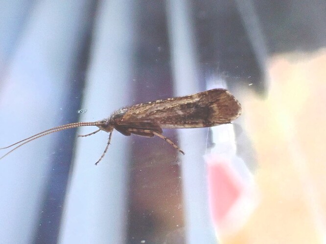 P9267532