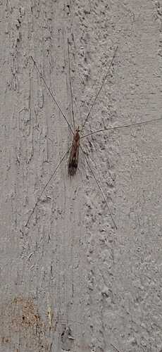 IMG-20250713-WA0002